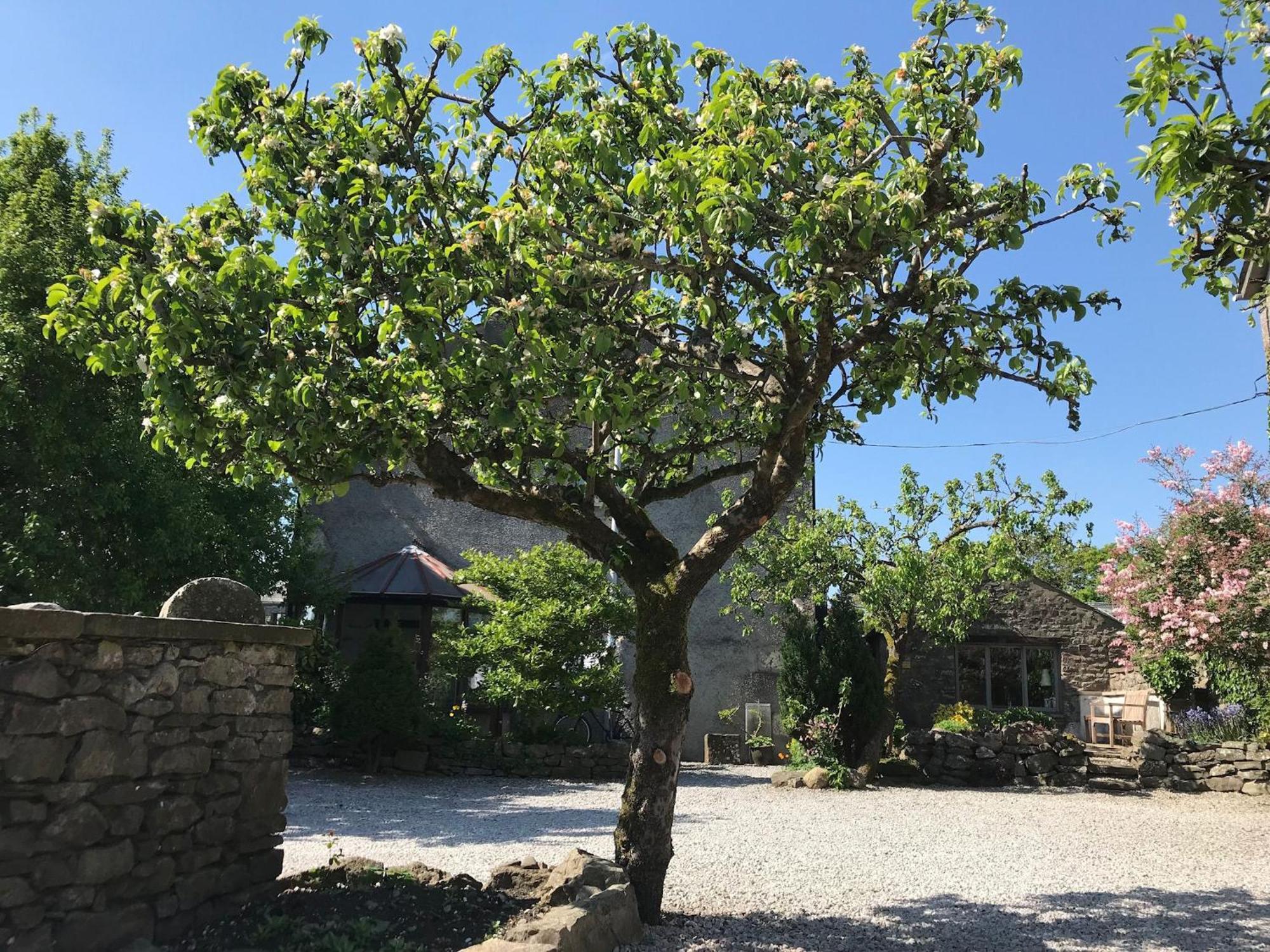 Pear Tree Barn Βίλα Crooklands Εξωτερικό φωτογραφία